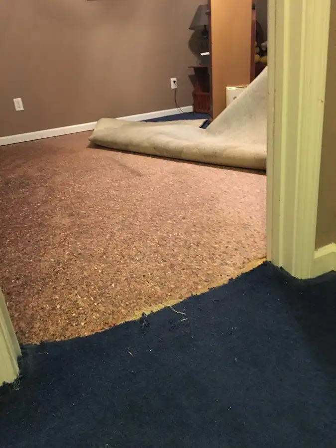 Carpet pad removal revealing water damage during Water Mitigation Services in Palm Tree