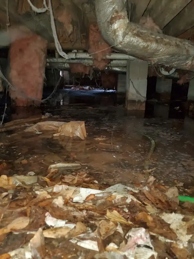 Crawl space flood assessment for Commercial Water Damage Restoration in Palm Tree