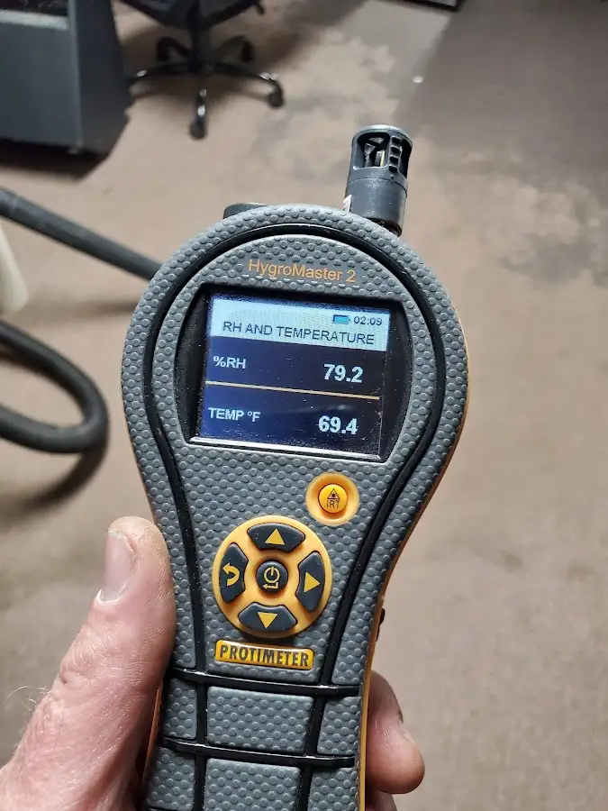 Moisture meter humidity assessment for Mold Remediation & Removal in Palm Tree