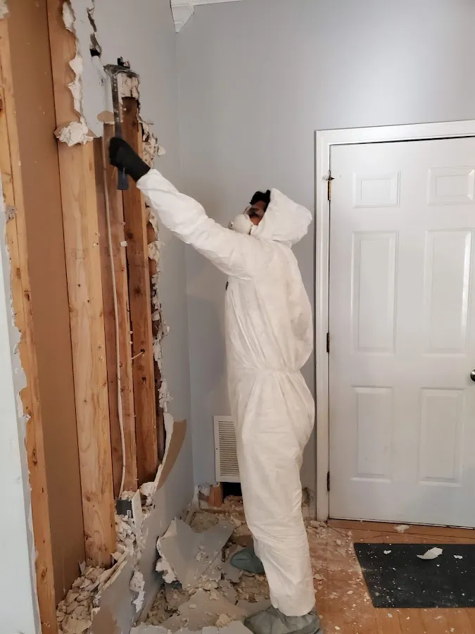 Commercial Water Damage Restoration in Palm Tree, NY