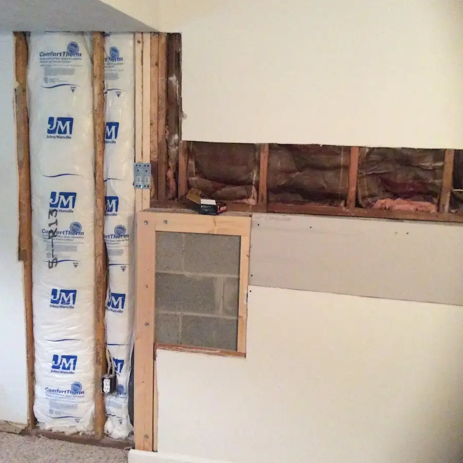 Wall insulation replacement during Structural Drying in Palm Tree